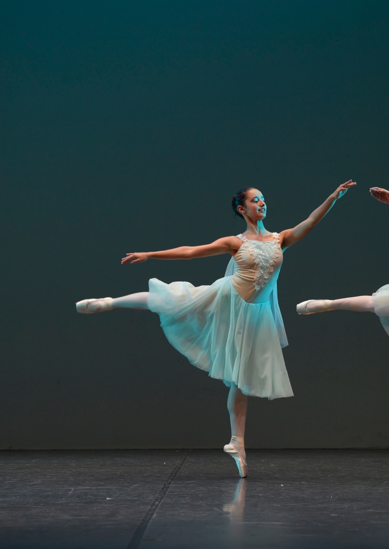 Fotografia o locandina originale: Dalla Newsletter di Danse Suisse